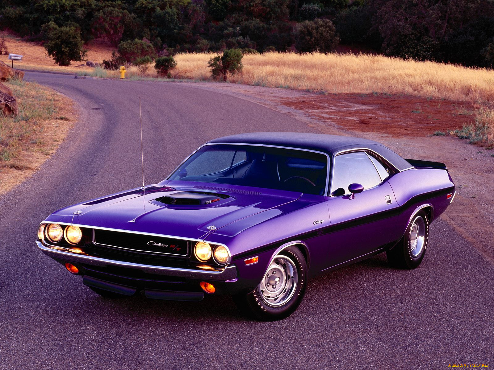 , dodge